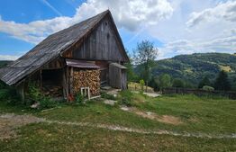 Proprietate cu 2 case, 120 mp, teren 1.855 mp, Vadul Moților