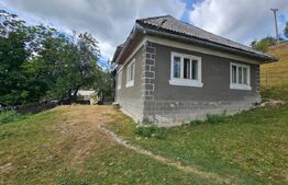 Proprietate cu 2 case, 120 mp, teren 1.855 mp, Vadul Moților