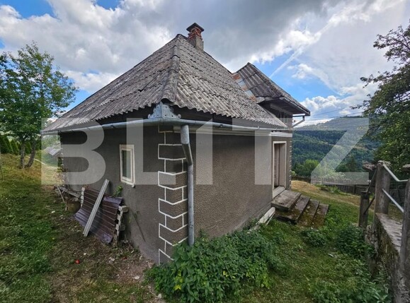 Casa de vânzare 7 camere Tomutesti - 203332CV | BLITZ Alba Iulia | Poza6
