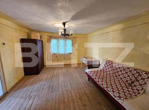 Casa de vânzare 7 camere Tomutesti - 203332CV | BLITZ Alba Iulia | Poza15