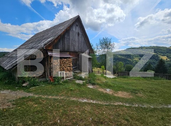 Casa de vânzare 7 camere Tomutesti - 203332CV | BLITZ Alba Iulia | Poza12