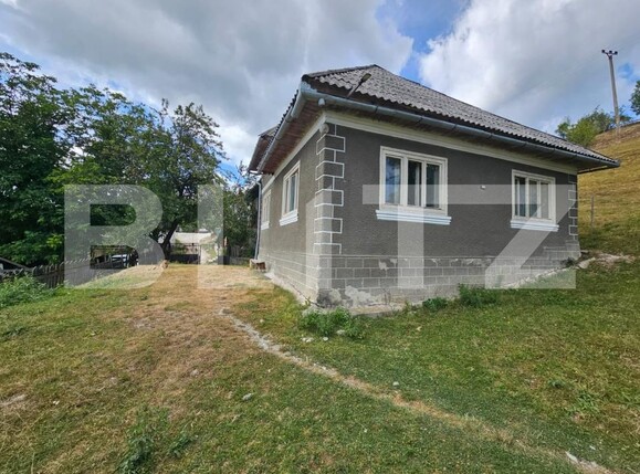 Casa de vânzare 7 camere Tomutesti - 203332CV | BLITZ Alba Iulia | Poza7