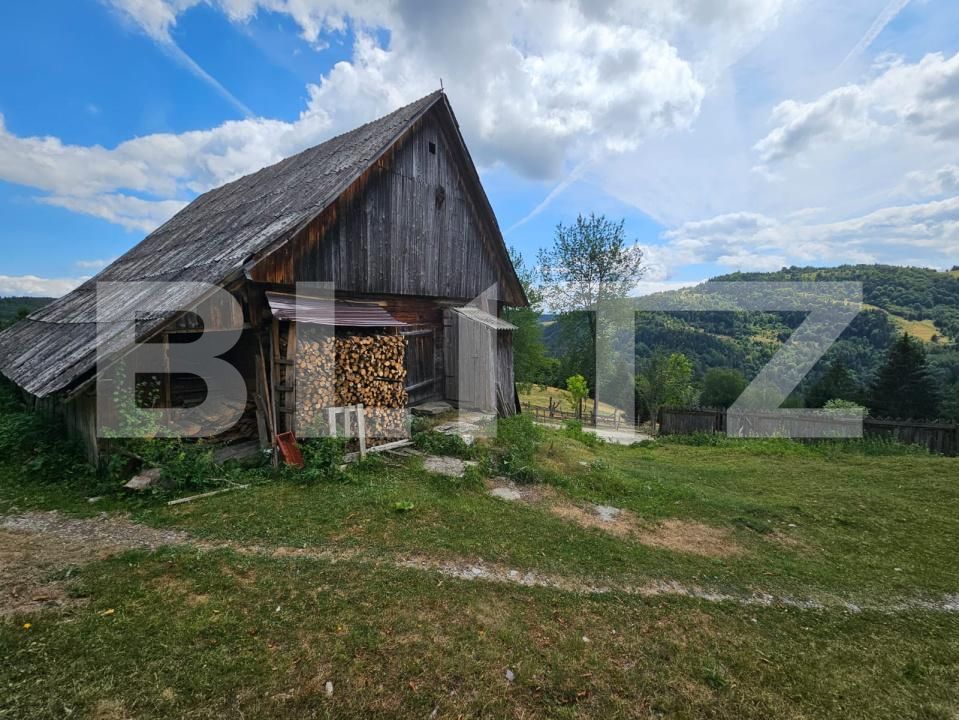 Casa de vânzare 7 camere Tomutesti - 203332CV | BLITZ Alba Iulia | Poza12
