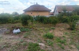 Casa de vanzare, 35 mp, 865 mp teren, zona Unirea 