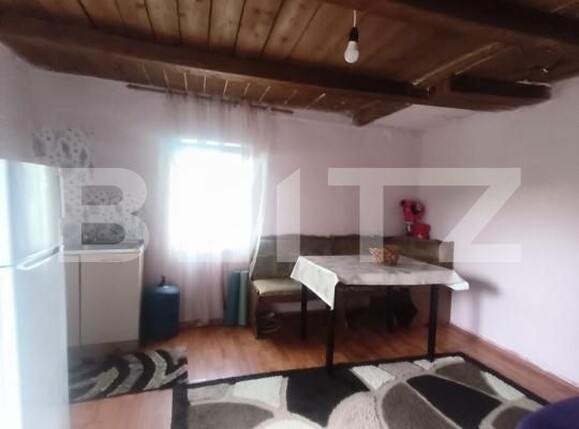 Casa de vânzare 1 camera Unirea - 203347CV | BLITZ Alba Iulia | Poza4