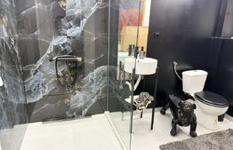 Duplex de inchiriat, 250 mp, zona Cetate