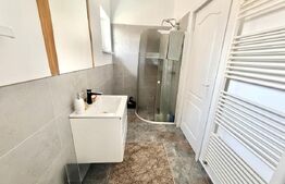 Duplex de inchiriat, 250 mp, zona Cetate