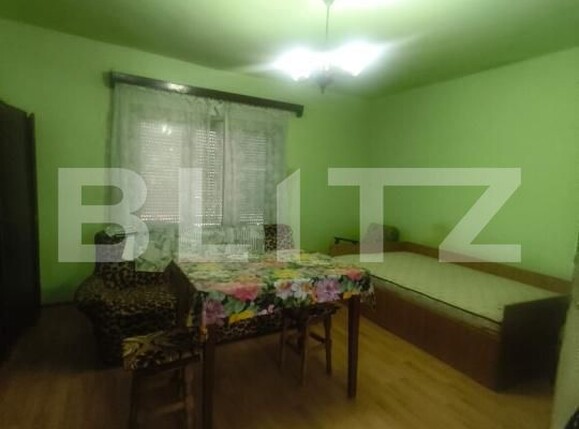 Casa de vânzare 1 camera Ocna Mures - 203432CV | BLITZ Alba Iulia | Poza6