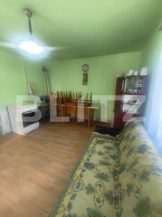 Casa de vânzare 1 camera Ocna Mures - 203432CV | BLITZ Alba Iulia | Poza2