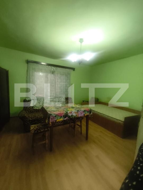 Casa de vânzare 1 camera Ocna Mures - 203432CV | BLITZ Alba Iulia | Poza6