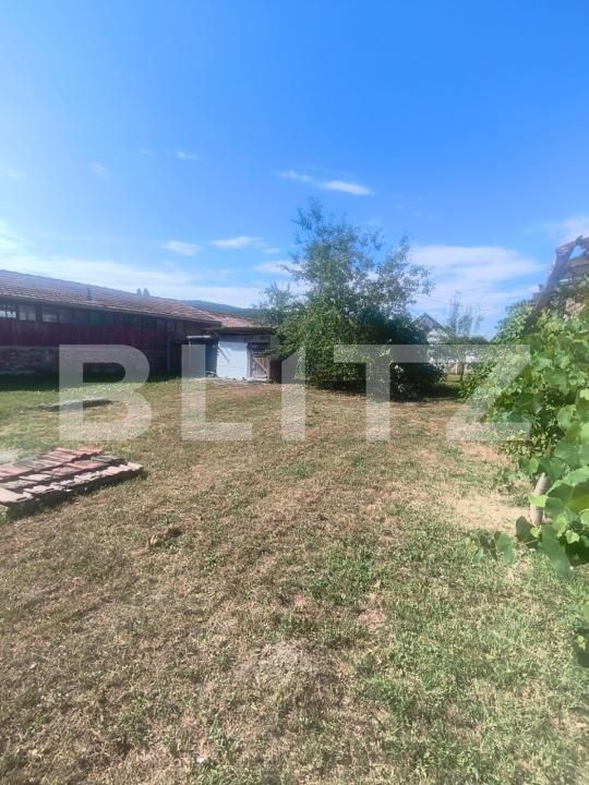 Casa de vânzare 1 camera Ocna Mures - 203432CV | BLITZ Alba Iulia | Poza7