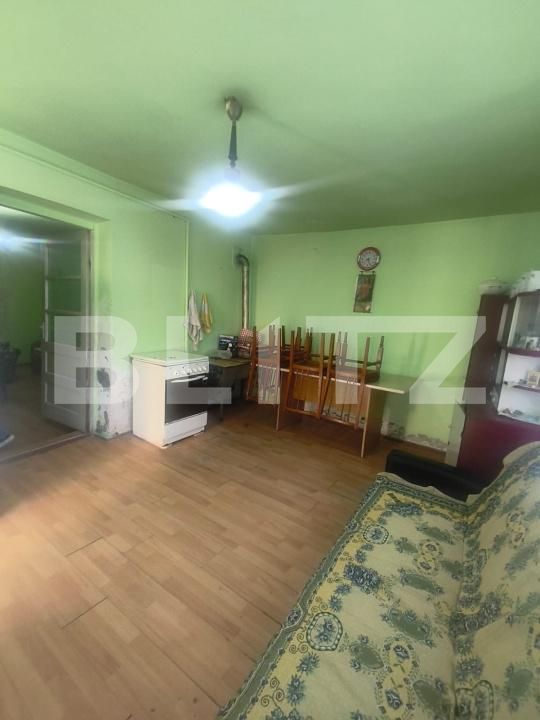 Casa de vânzare 1 camera Ocna Mures - 203432CV | BLITZ Alba Iulia | Poza3