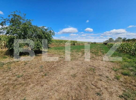 Teren de vânzare Unirea - 203673TV | BLITZ Alba Iulia | Poza1