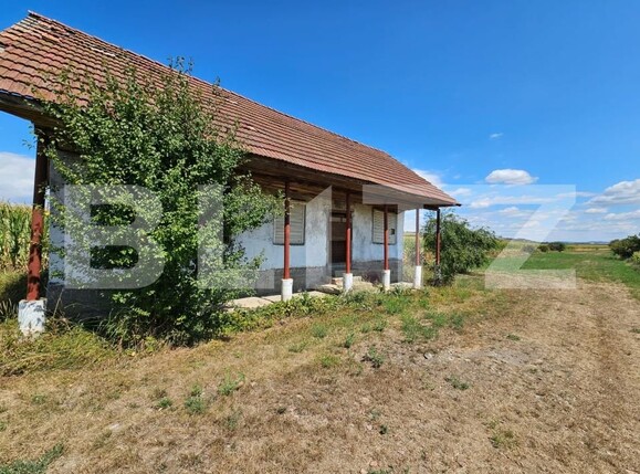 Teren de vânzare Unirea - 203673TV | BLITZ Alba Iulia | Poza4