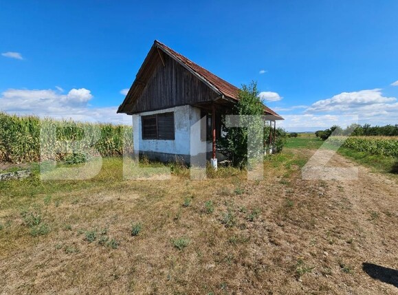 Casa de vânzare 2 camere Unirea - 203674CV | BLITZ Alba Iulia | Poza3