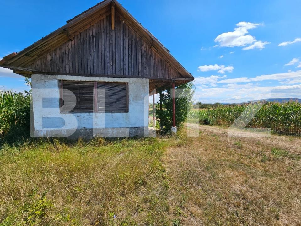 Casa de vânzare 2 camere Unirea - 203674CV | BLITZ Alba Iulia | Poza4