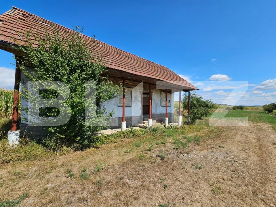 Casa de vânzare 2 camere Unirea - 203674CV | BLITZ Alba Iulia | Poza2