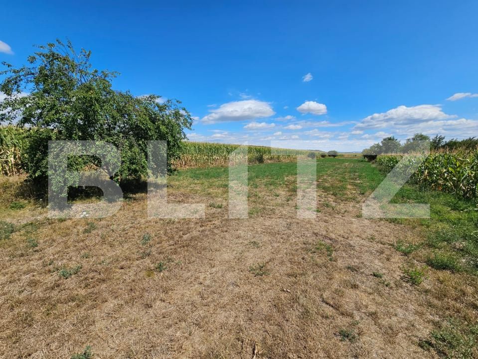 Casa de vânzare 2 camere Unirea - 203674CV | BLITZ Alba Iulia | Poza11