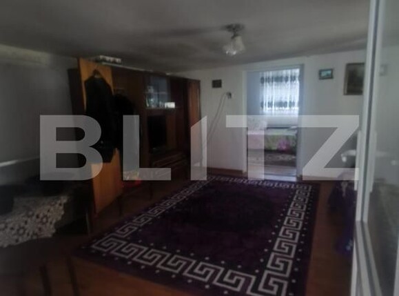 Casa de vânzare 2 camere Ocna Mures - 203685CV | BLITZ Alba Iulia | Poza10