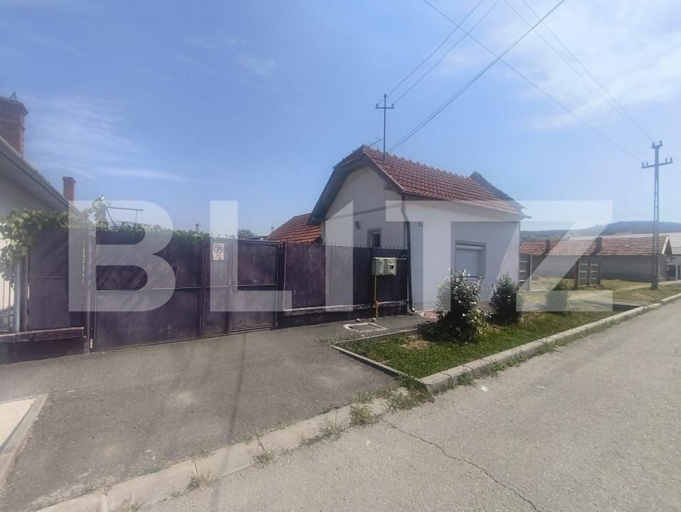 Casa de vânzare 2 camere Ocna Mures - 203685CV | BLITZ Alba Iulia | Poza3