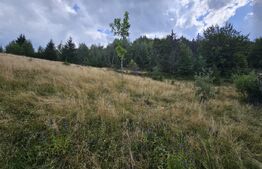 Teren intravilan 5.271 mp cu priveliște spectaculoasă – Gârda de Sus, Snide