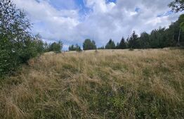 Teren intravilan 5.271 mp cu priveliște spectaculoasă – Gârda de Sus, Snide