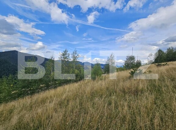 Teren de vânzare Garda de Sus - 203690TV | BLITZ Alba Iulia | Poza3