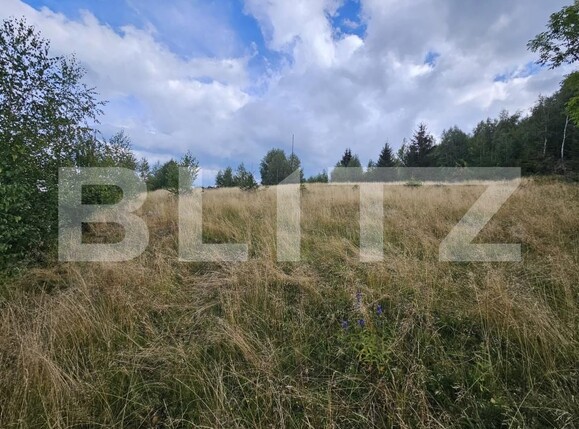 Teren de vânzare Garda de Sus - 203690TV | BLITZ Alba Iulia | Poza2