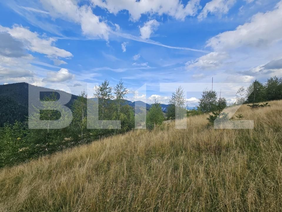 Teren de vânzare Garda de Sus - 203690TV | BLITZ Alba Iulia | Poza3