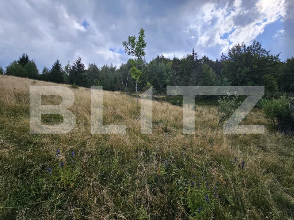 Teren de vânzare Garda de Sus - 203690TV | BLITZ Alba Iulia | Poza4