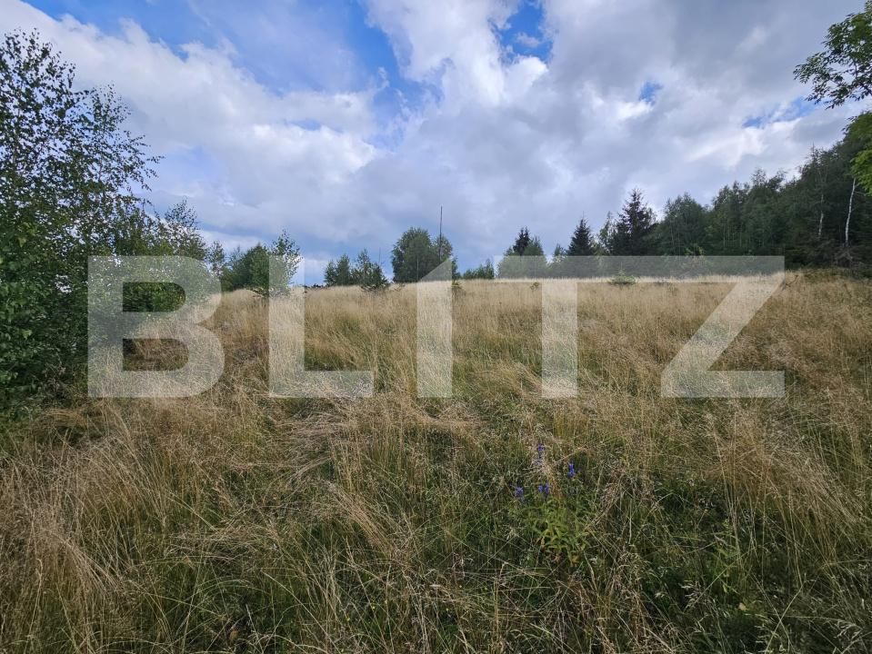 Teren de vânzare Garda de Sus - 203690TV | BLITZ Alba Iulia | Poza2