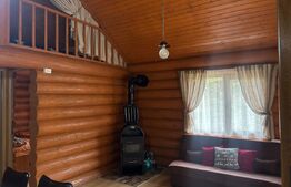 Cabana din bușteni - refugiu ideal în mijlocul naturii