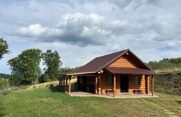 Cabana din bușteni - refugiu ideal în mijlocul naturii
