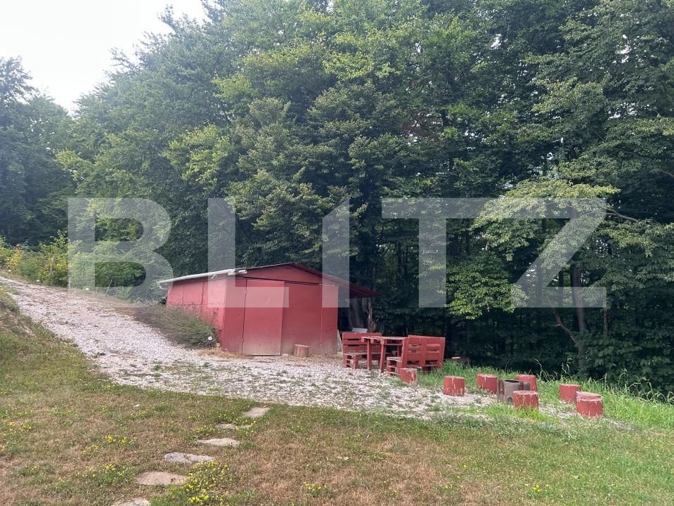 Casa de vânzare 3 camere Exterior Nord - 203720CV | BLITZ Alba Iulia | Poza9