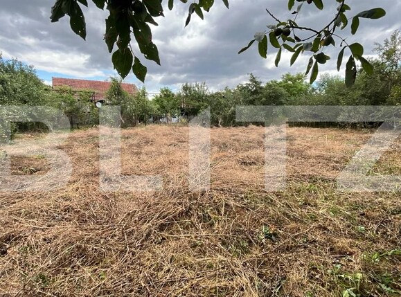 Casa de vânzare 2 camere Unirea - 203722CV | BLITZ Alba Iulia | Poza1