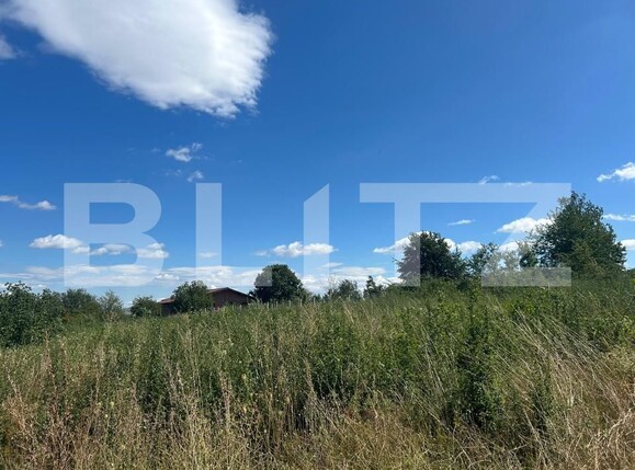 Teren de vânzare Cetate - 203725TV | BLITZ Alba Iulia | Poza1