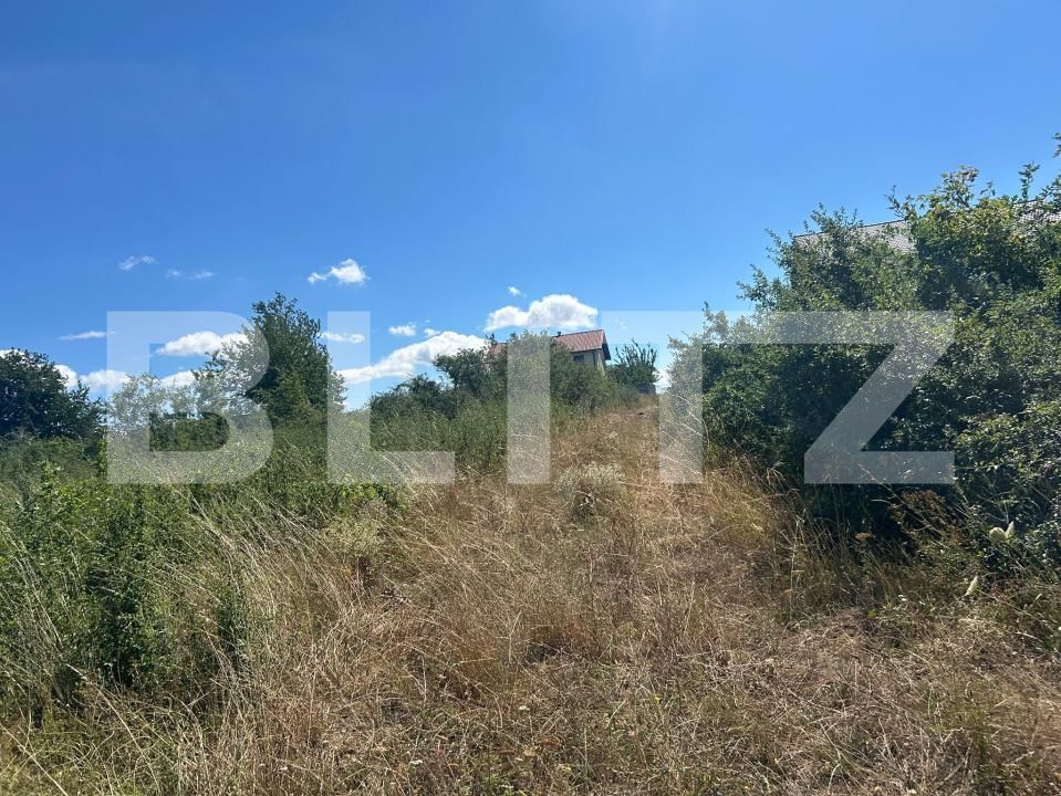 Teren de vânzare Cetate - 203725TV | BLITZ Alba Iulia | Poza2