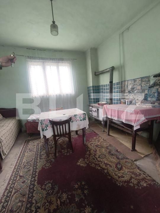 Casa de vânzare 3 camere Razboieni-Cetate - 203956CV | BLITZ Alba Iulia | Poza10