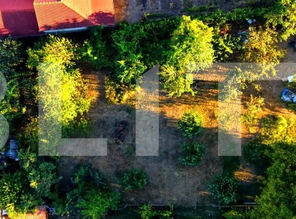 Casa de vânzare 3 camere Cetate - 203997CV | BLITZ Alba Iulia | Poza2