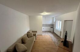 Casa 4 camere, curte si gradina, garaj/hala, Tolstoi