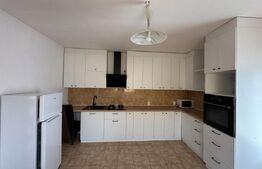 Casa 4 camere, curte si gradina, garaj/hala, Tolstoi