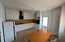 Casa 4 camere, curte si gradina, garaj/hala, Tolstoi