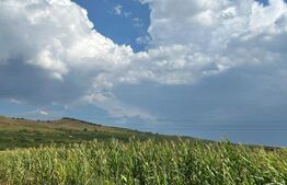 Teren de vânzare, 963 mp, 4 parcele cu PUZ,  zona Ciumbrud