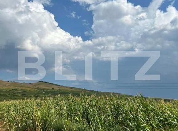 Teren de vânzare Ciumbrud - 204158TV | BLITZ Alba Iulia | Poza3