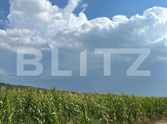 Teren de vânzare Ciumbrud - 204158TV | BLITZ Alba Iulia | Poza2