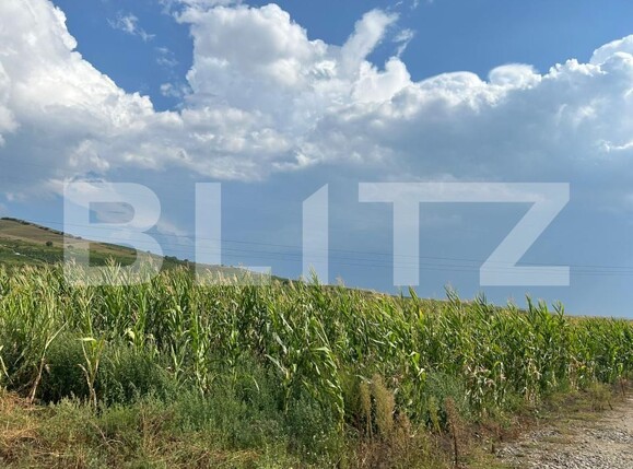 Teren de vânzare Ciumbrud - 204158TV | BLITZ Alba Iulia | Poza1