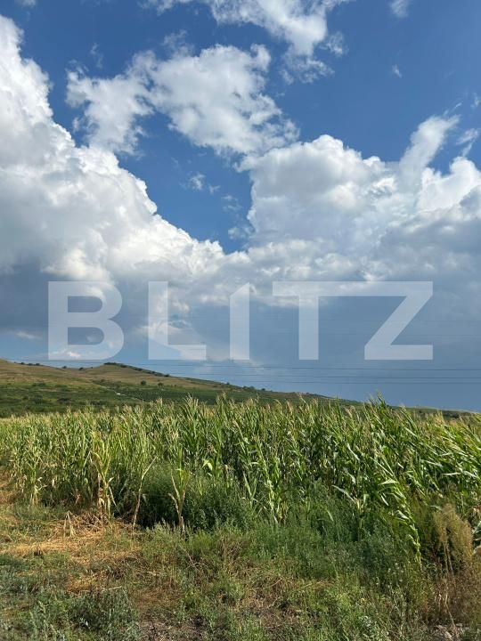 Teren de vânzare Ciumbrud - 204158TV | BLITZ Alba Iulia | Poza3