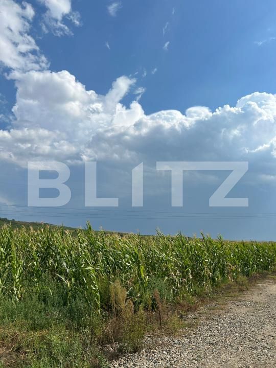 Teren de vânzare Ciumbrud - 204158TV | BLITZ Alba Iulia | Poza2
