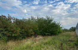 Teren intravilan de vanazre, 1.000 mp, zona Cetate