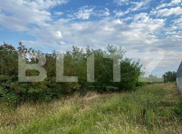 Teren de vânzare Cetate - 204167TV | BLITZ Alba Iulia | Poza2